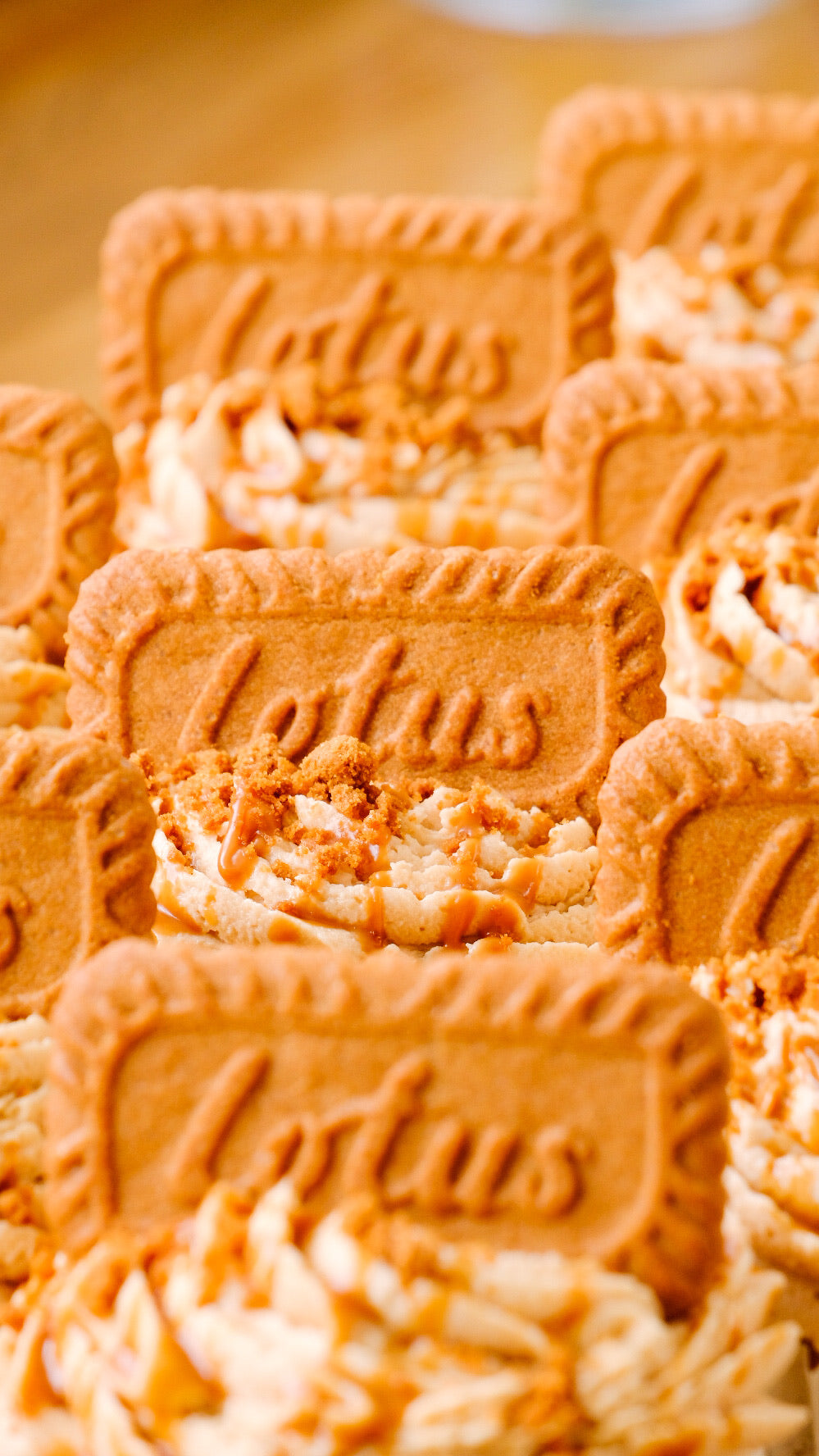 Biscoff Cupcakes